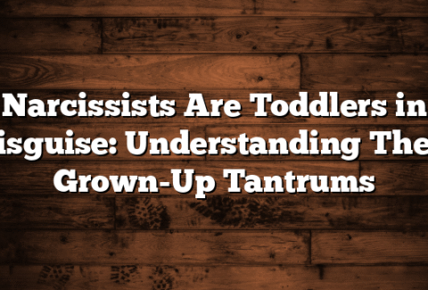 Narcissists Are Toddlers in Disguise: Understanding Their Grown-Up Tantrums